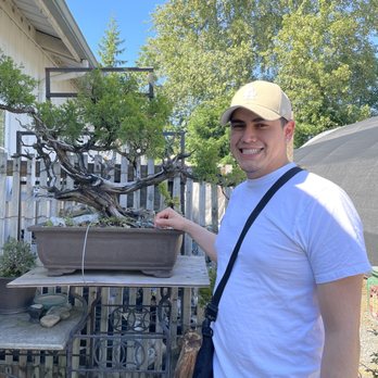 Asia Pacific Gardening - 500 year old Bonsai - Nurseries & Gardening Near Me - Kent, Washington