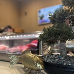 Zukku-San Sushi Bar & Grill - Pretty details, fish and bonsai tree
