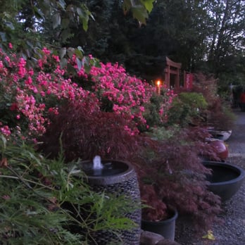 Hughes Water Gardens - Nurseries & Gardening Near Me - Tualatin, Oregon