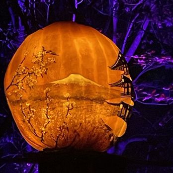 Jack-O-Lantern Spectacular - Festivals Near Me - Providence, Rhode Island