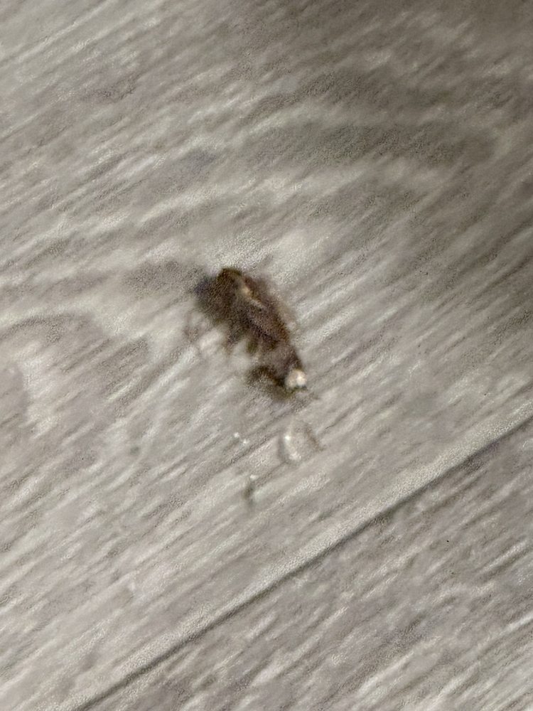 BOULDER GARDENS APARTMENTS Updated June 2024 97 Photos 16751 SE