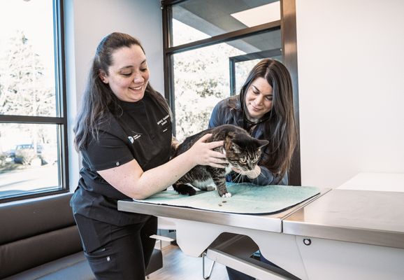 Vancouver Pet Urgent Care