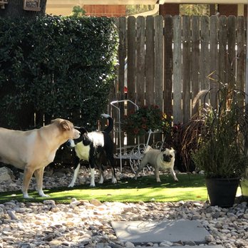 Ideal Turf - Fort Worth - Artificial Turf Near Me - Fort Worth, Texas Ideal Turf - Fort Worth - Artificial Turf Near Me - Fort Worth, Texas