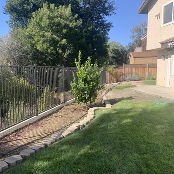 Spring Time Landscaping - Before..... lots of dead grass areas. - Landscaping Near Me - San Luis Obispo, California Spring Time Landscaping - Before..... lots of dead grass areas. - Landscaping Near Me - San Luis Obispo, California