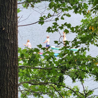 Walden Pond State Reservation by null