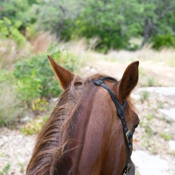 XLR8 Ranch - XLR8 Ranch - Horse Boarding Near Me - Dripping Springs, Texas XLR8 Ranch - XLR8 Ranch - Horse Boarding Near Me - Dripping Springs, Texas