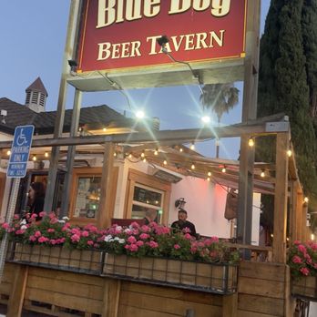 Blue Dog Beer Tavern - Burgers Near Me - Sherman Oaks, California