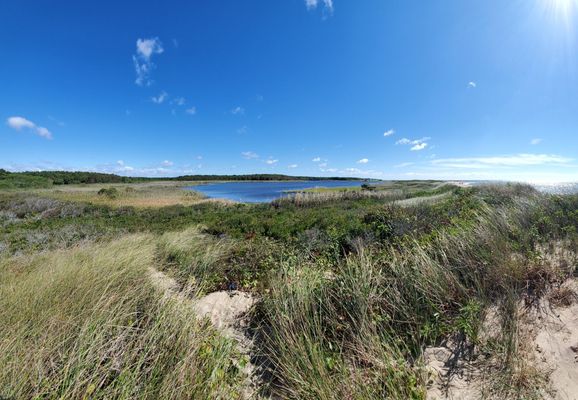 South Cape Beach State Park by null
