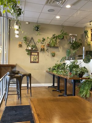 Alfonso's Pizzeria by null