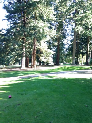 Glendoveer Golf & Tennis by null