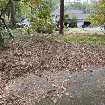 Tip Top Tree Service - Tree Services Near Me Tip Top Tree Service - Tree Services Near Me