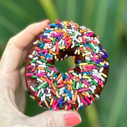 Maui Ono Donuts - Chocolate with Sprinkles Vegan donut