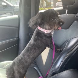 After grooming