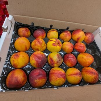 Gold Bud Farms - Prime condition nectarines $20 per crate - Fruits & Veggies Near Me - Placerville, California Gold Bud Farms - Prime condition nectarines $20 per crate - Fruits & Veggies Near Me - Placerville, California