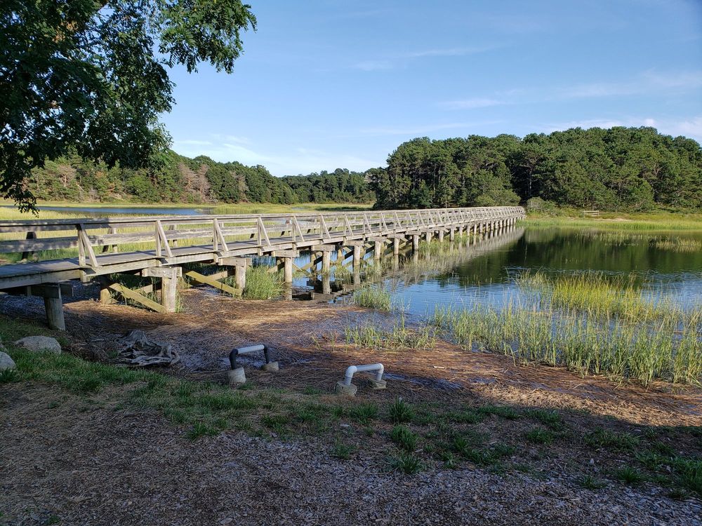 UNCLE TIM’S BRIDGE 25 Photos & 10 Reviews Hiking East Commercial