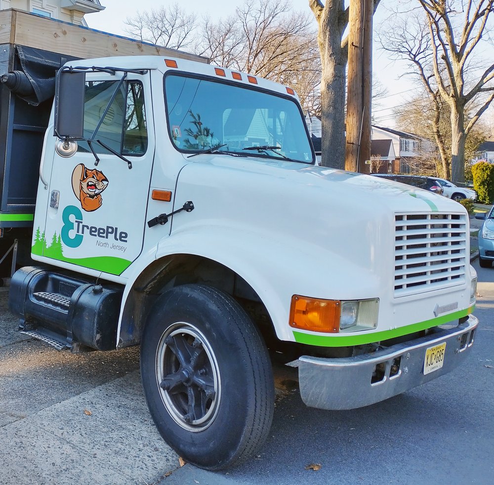 Treeple Tree Services - tree service in Clifton, NJ