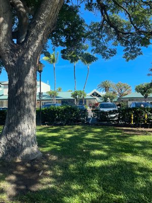 Kings' Shops by null