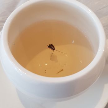 DYNASTY CHINESE CUISINE - Updated June 2025 - 274 Photos & 148 Reviews ...