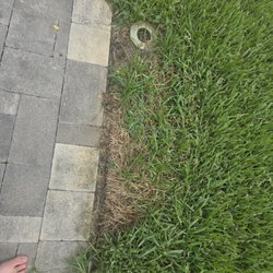Lawn Doctor of Pinellas Park-St. Petersburg