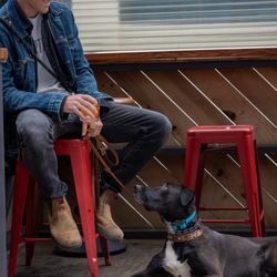 Good Company Canine