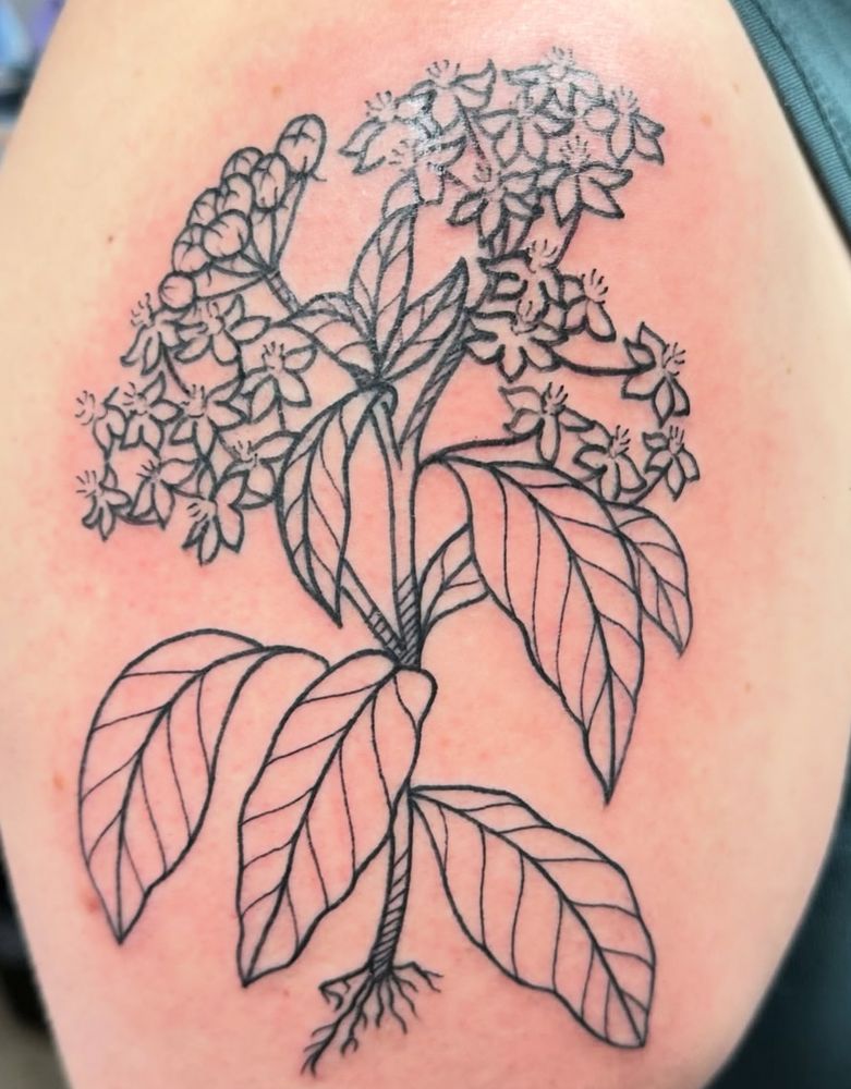 Lady Face Tattoos Logo