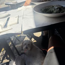 Outside Outside