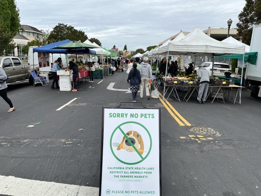Hayward Farmers Market by null