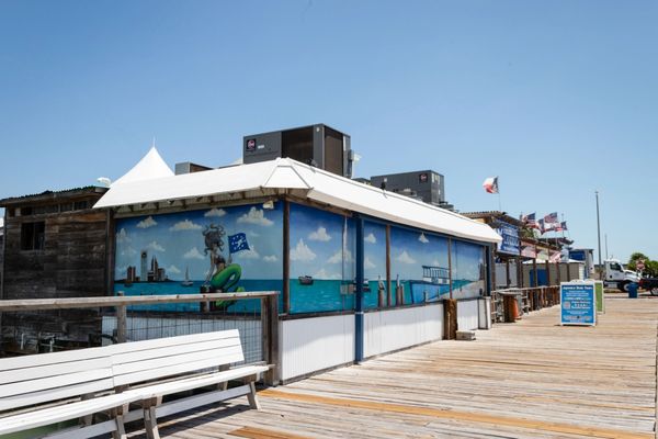 Harrison's Landing by null