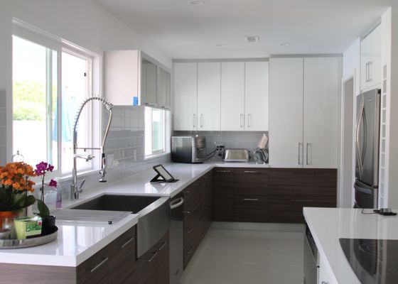 Modern Kitchen Designs - This portfolio features some of our kitchen remodel projects that exhibit modern style design cabinets