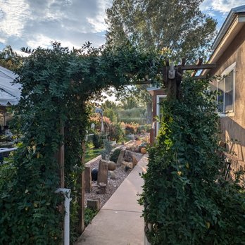 Algodones Distillery - A concrete garden pathway is framed by a leafy archway, leading through a lush garden with various plants and decorative rocks. - Distilleries Near Me - Algodones, New Mexico
