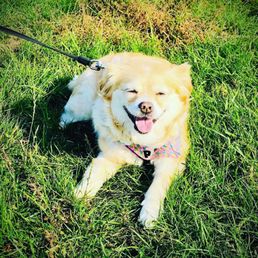 A happy girl.