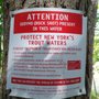 Photo of Esopus Creek