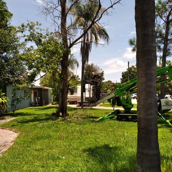 Greater Bay Area Tree & Arborist Services - Before - Tree Services Near Me - Seminole, Florida Greater Bay Area Tree & Arborist Services - Before - Tree Services Near Me - Seminole, Florida