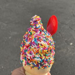 Small twist cone with rainbow sprinkles