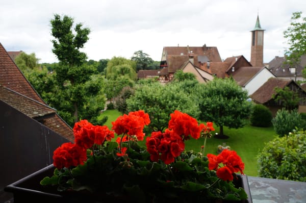 Hôtel des Berges et Spa des Saules [Haeberlin] by null