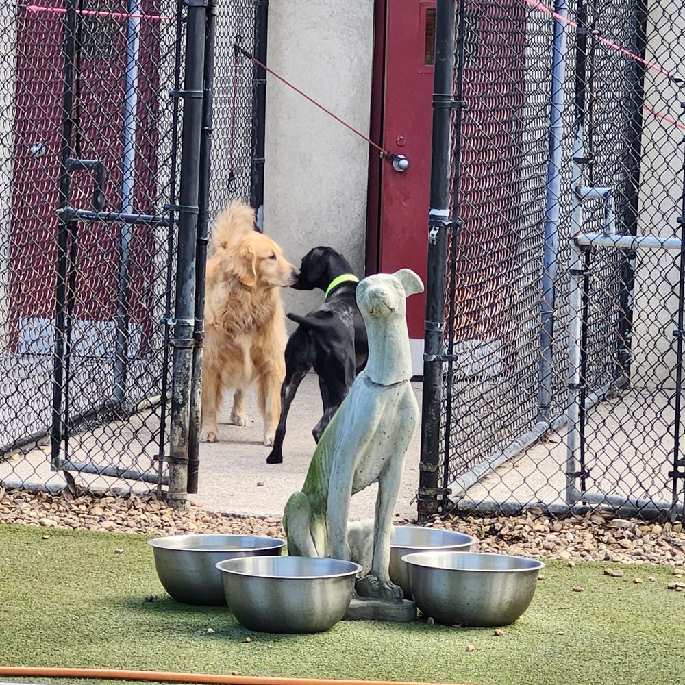 Bark Avenue Pet Resort Image