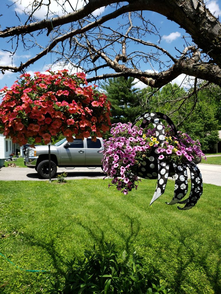 ZIMMERMAN GREENHOUSE 13 Photos 1386 E 1050 Ave, Vandalia, Illinois