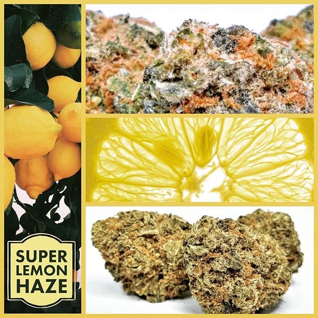 CORKTOWN COLLECTIVE Updated September 2024 16 Photos 2101 West