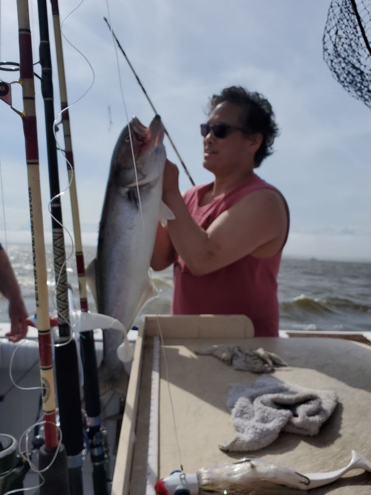 DOUBLE DOWN II SPORT FISHING CHARTERS Updated May 2024 58 Photos