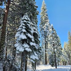 Goat Meadow Snow Play Area - Snow Play Area  2025 Mar 18