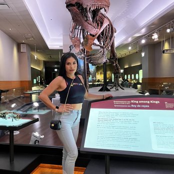 Field Museum - Museums Near Me - Chicago, Illinois