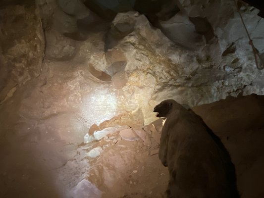 Grand Canyon Caverns & Inn by null