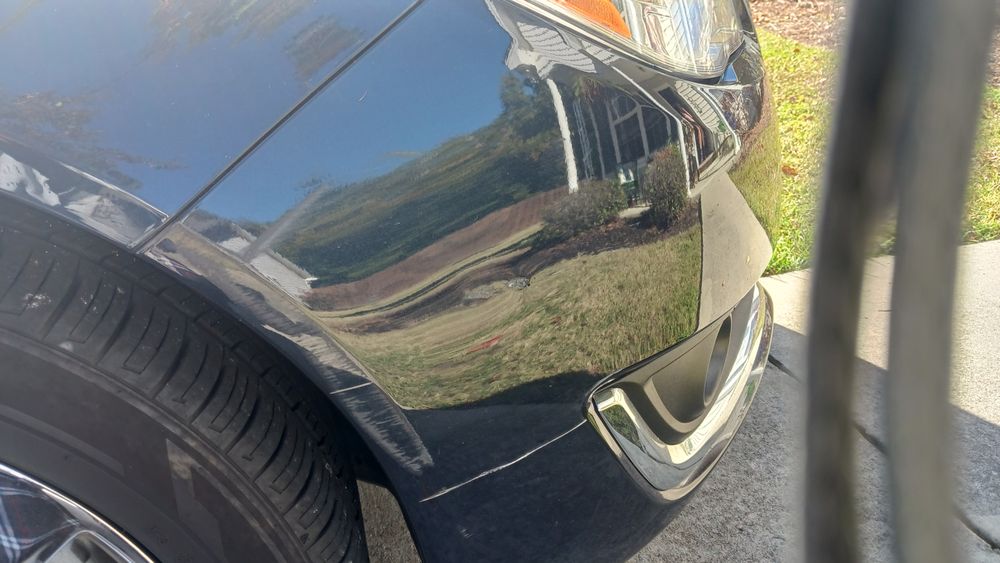 Lawn & Order - tree service in Columbia, SC