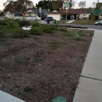 Mora Landscape - Tree Services Near Me Mora Landscape - Tree Services Near Me