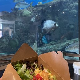 a salad in a box