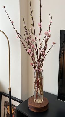 Trader Joe's by null