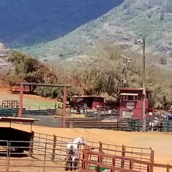 CJM Stables - CJM Stables - Horseback Riding Near Me