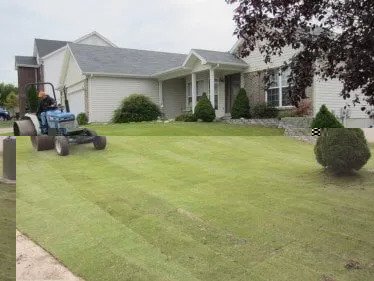 Midwest Turf - tree service in O'Fallon, MO