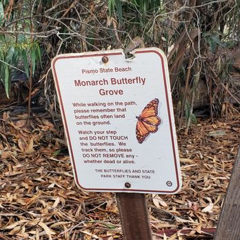 Monarch Butterfly Grove - Sign - Parks Near Me