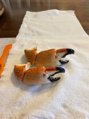 George Stone Crab by null